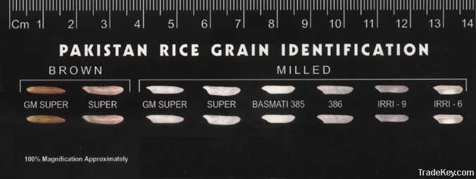 BASMATI RICE EXPORTER| KERNAL RICE WHOLESALER| WHITE RICE MANUFACTURER| LONG GRAIN TRADER| PARBOILED RICE IMPORTERS