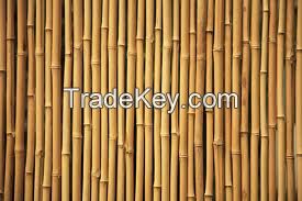 Canvas tarpaulins, Tents and Bamboos