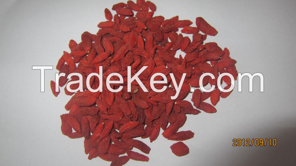 goji wolfberry