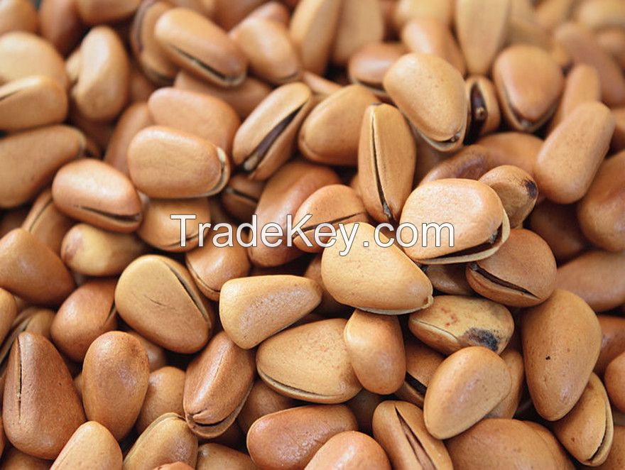 pine nuts,east china pine nuts,nature pine nuts