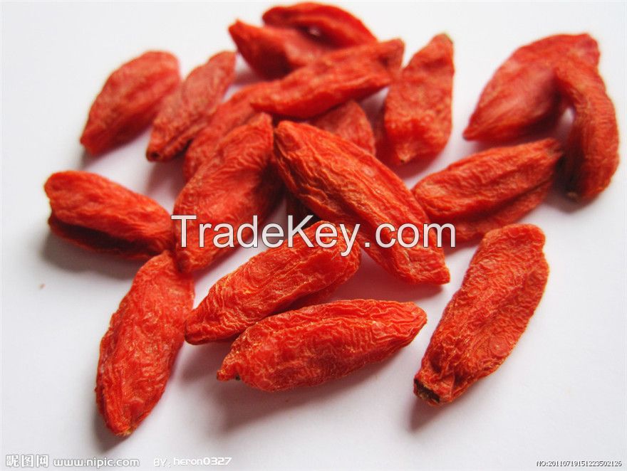 goji wolfberry