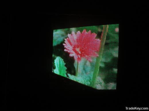 Butterfly display