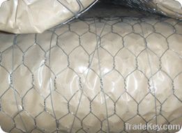 Hexagonal wire mesh