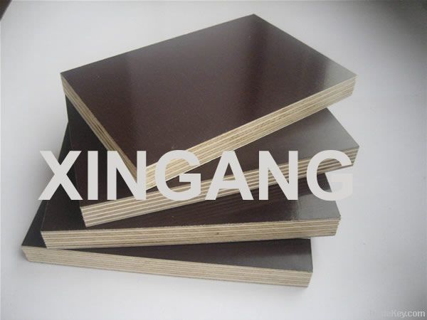 21mm big film faced plywood