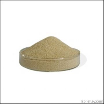 Sodium Alginate Food  Grade