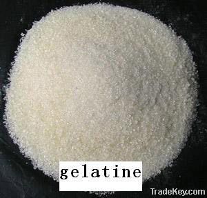 Gelatine 100%