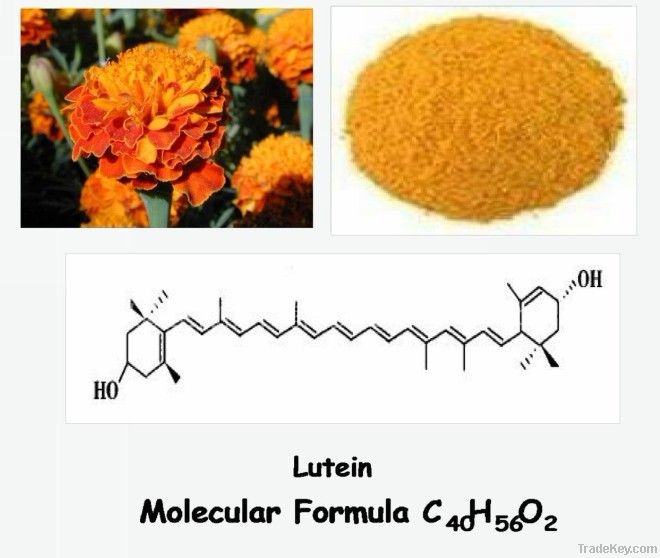 Lutein