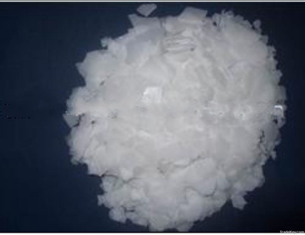 maleic anhydride supplier