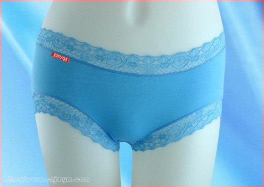 Ladies Lace Underwear