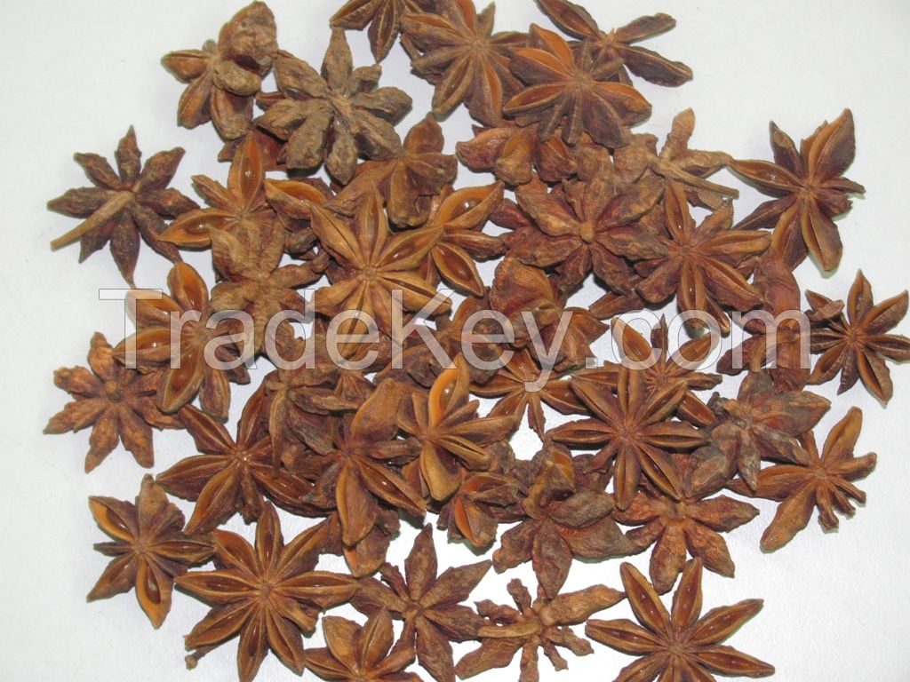 Vietnamese Star Aniseeds