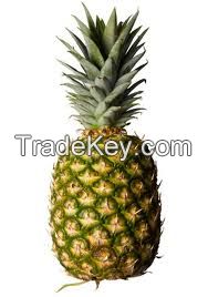 Fresh Pineapple 