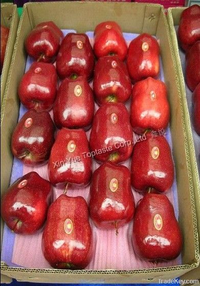 Huaniu Apple ( Red delicious)