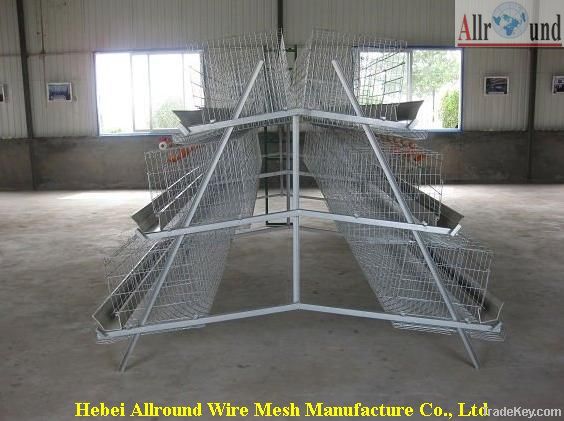 Battery chicken layer cage