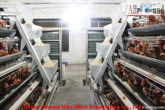 Poultry egg layer cage
