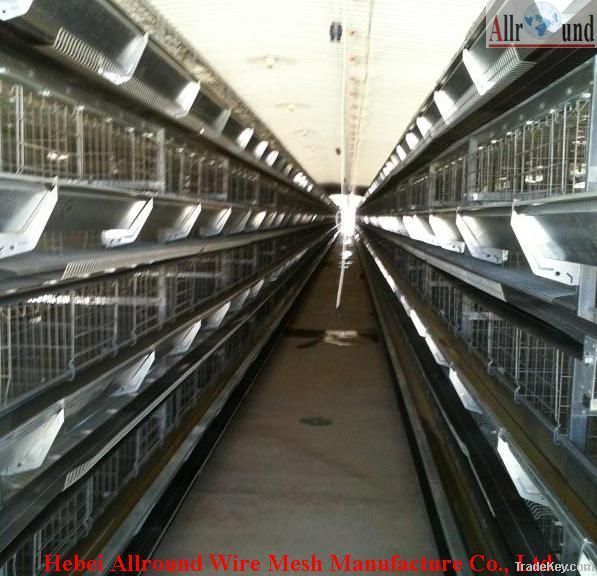 Chicken poultry layer cage