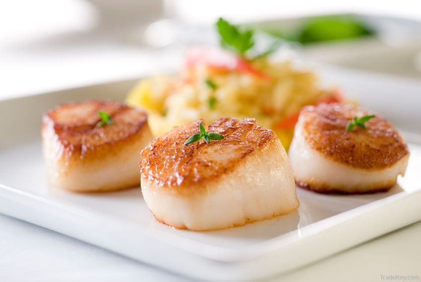 King Scallops