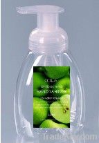 Moisture Cleaing Hand Foam Hand Wash Apple 250ml