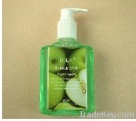 Moisture Cleaing Hand Foam Hand Wash Apple 250ml