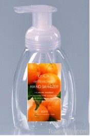 Anti-bacterial Hand Foam Hand Soap Sanitizer 250ml