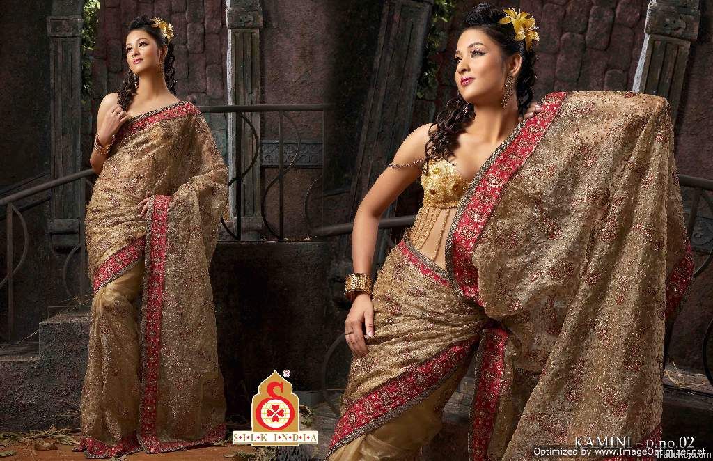 Indian Ethnic wear KAMINI - Fawn TissueDeginer Sarees - SR2