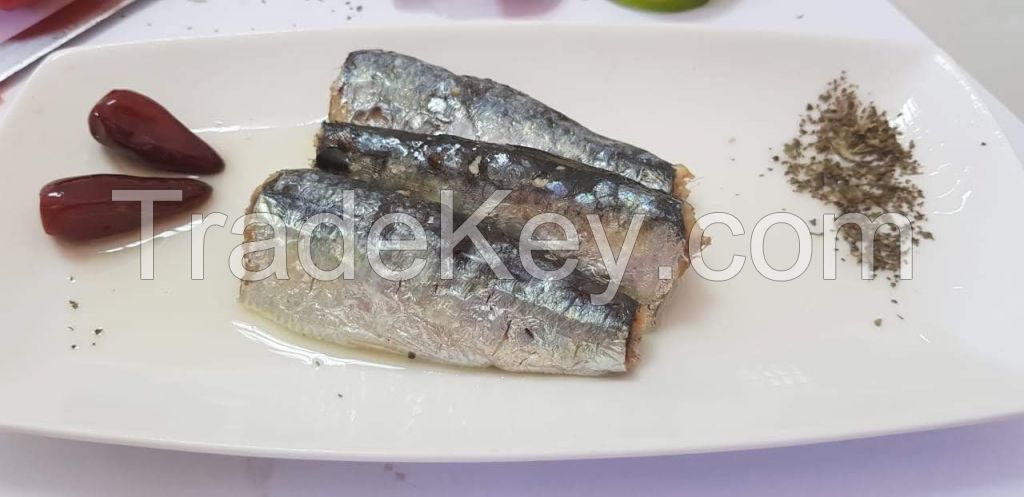 Moroccan sardines export 