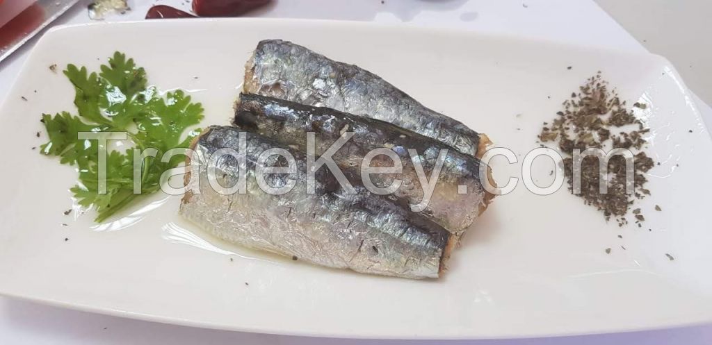 Moroccan Sardines producers,