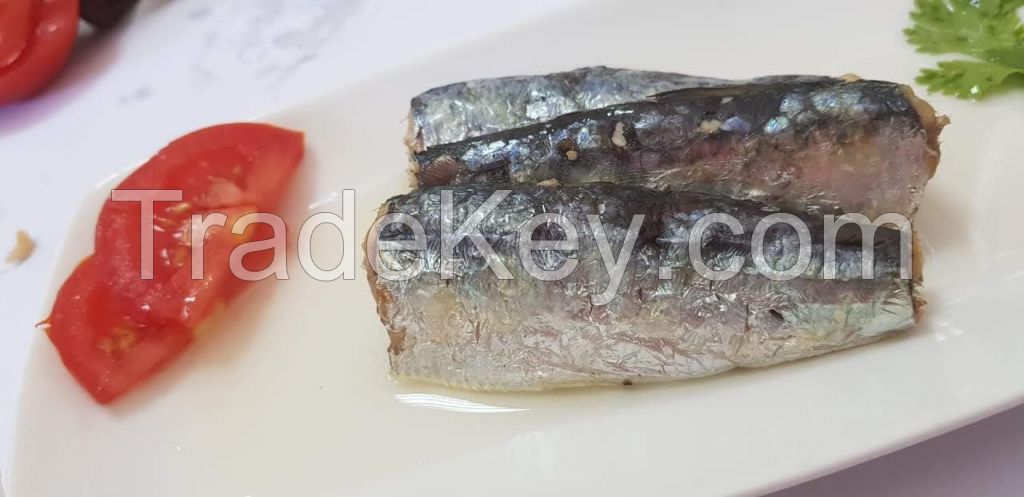 Moroccan sardines export 