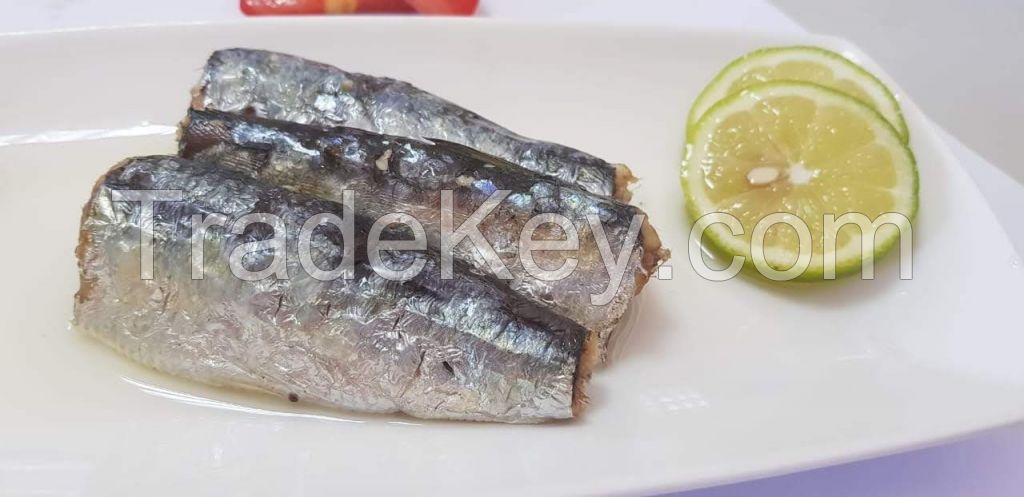 Moroccan Sardines factory