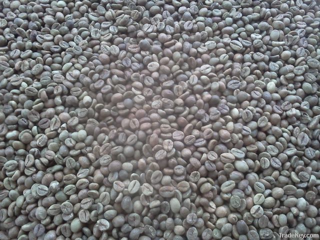 Export Robusta Coffee Beans | Robusta Coffee Bean Importer | Robusta Coffee Beans Buyer | Buy Robusta Coffee Beans | Robusta Coffee Bean Wholesaler | Robusta Coffee Bean Manufacturer | Best Robusta Coffee Bean Exporter | Low Price Robusta Coffee Beans | B