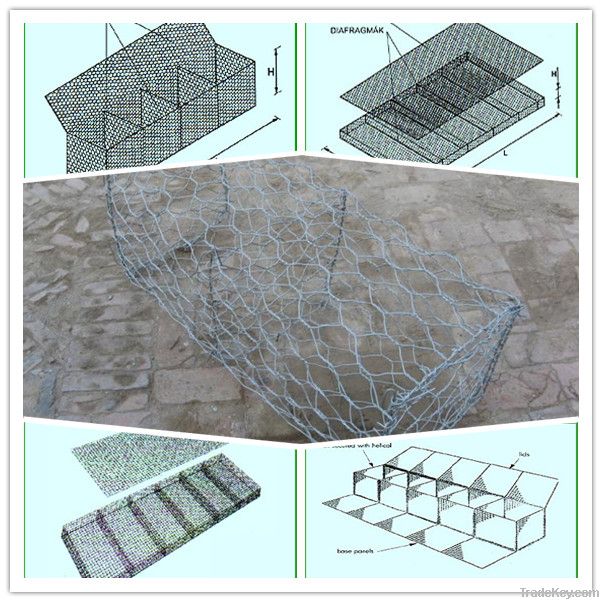 gabion mesh