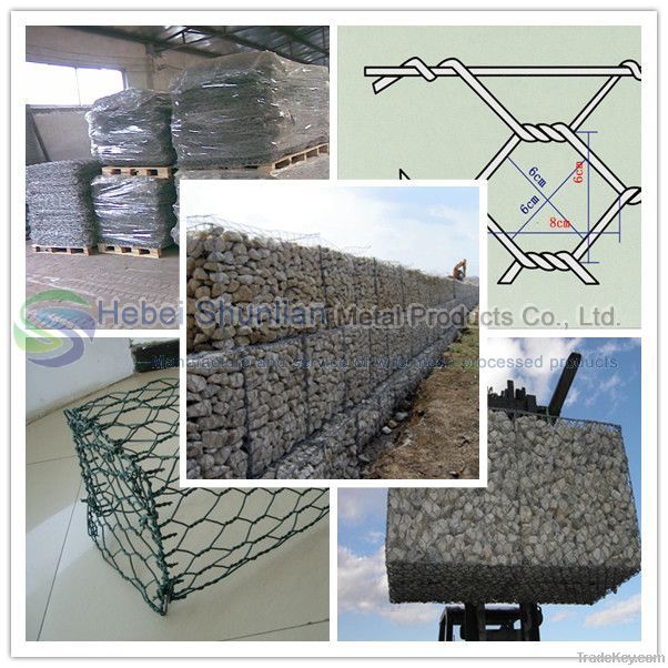 hexagonal wire mesh