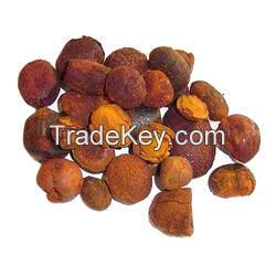 Cattle Gallstones