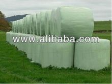 Corn Silage