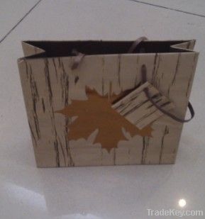 custom Eco-friendly paper shopping bag