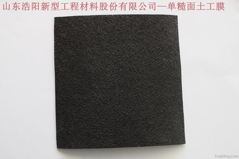 geomembrane with textured surface