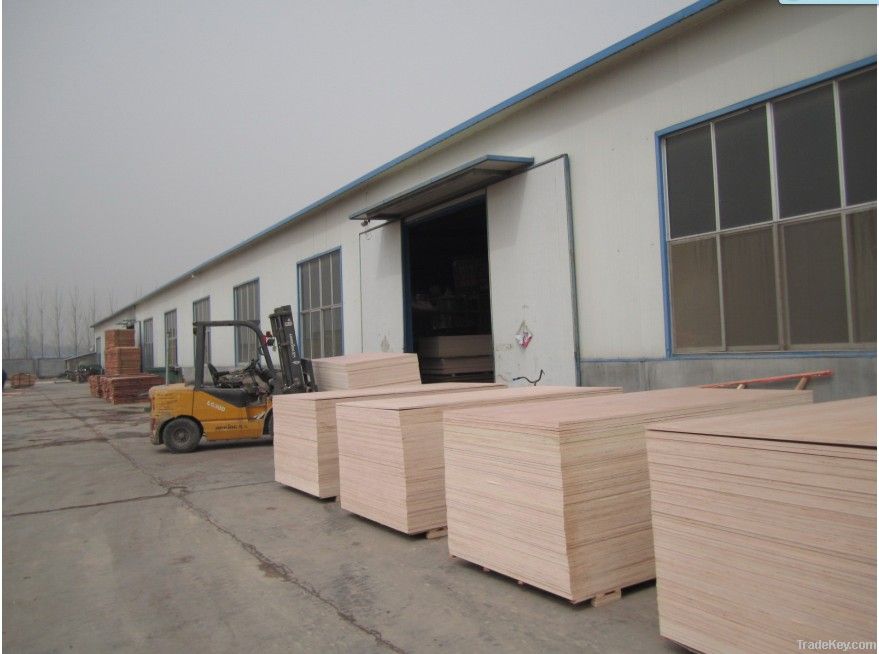 Carb & FSC Certified Furniture Grade Okoume Plywood