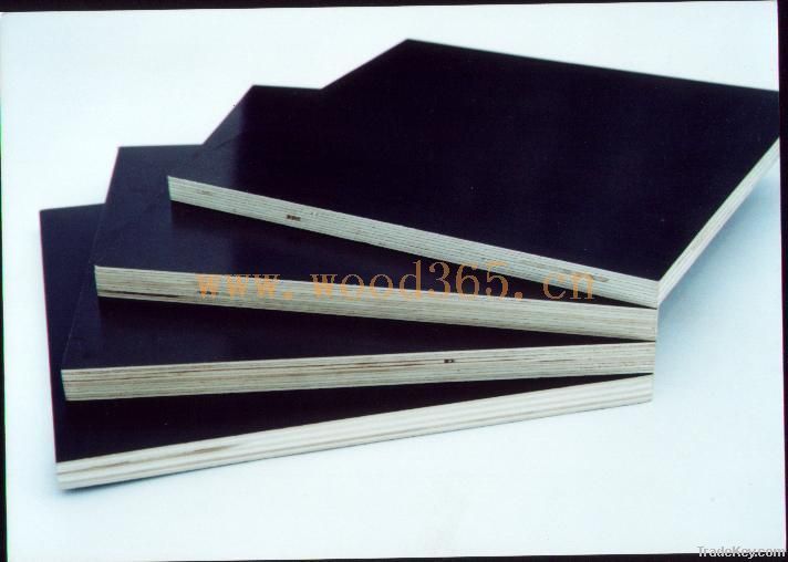 Black Film Faced Plywood 18MM