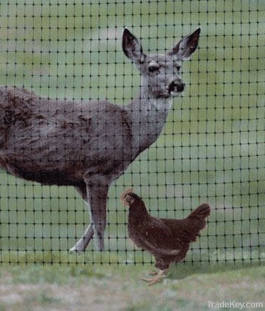 Field Fence