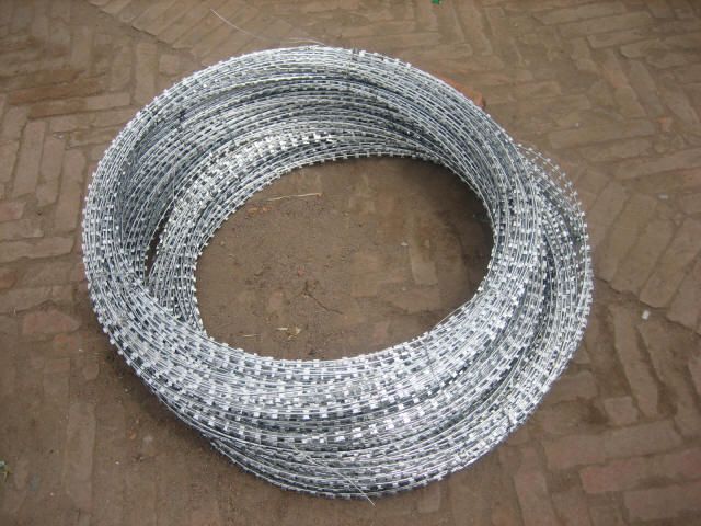 Wire Mesh /Barbed Wire