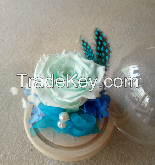 Apple Glass Wing preserved flower gift box