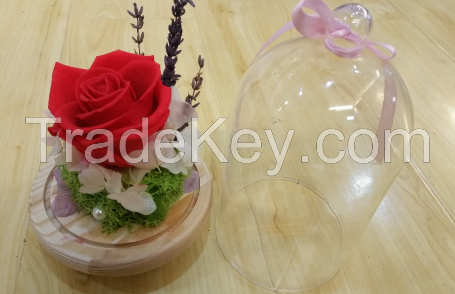 Special preserved flower gift for women 