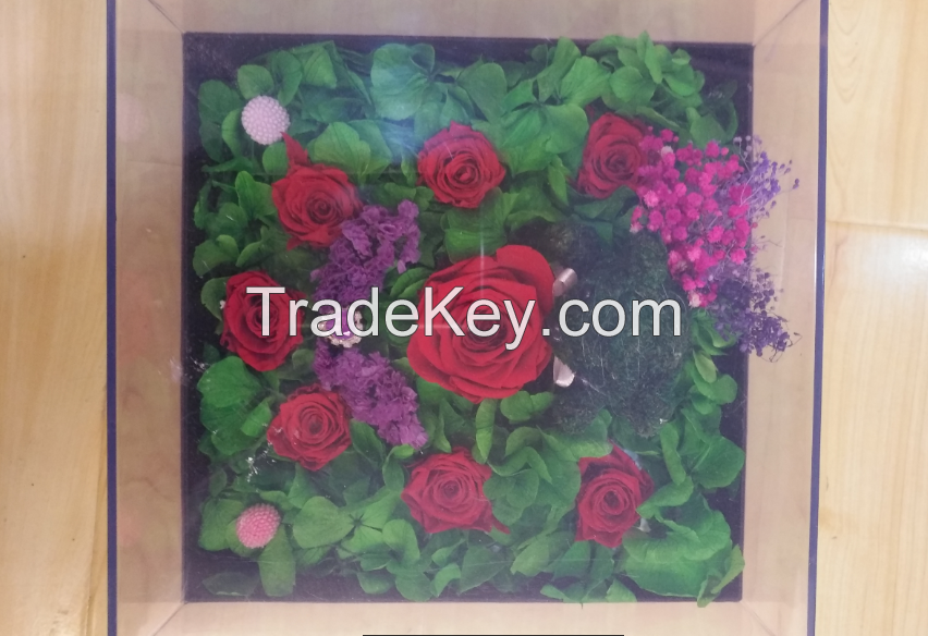 Square glass cover preserved flower gift box