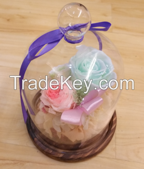 Special preserved flower gift for women 