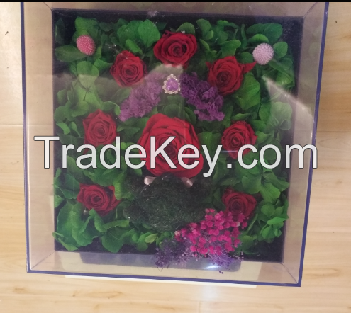 Square glass cover preserved flower gift box