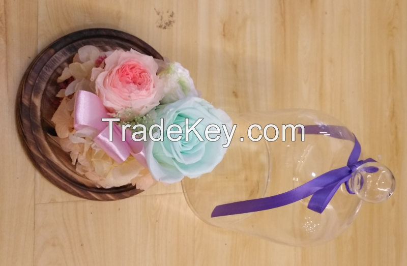 Special preserved flower gift for women 