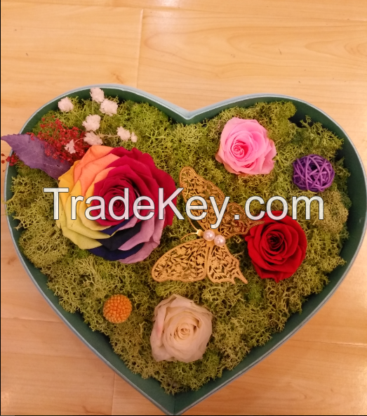 Colorful preserved flower for volentine's day and mother's day gift