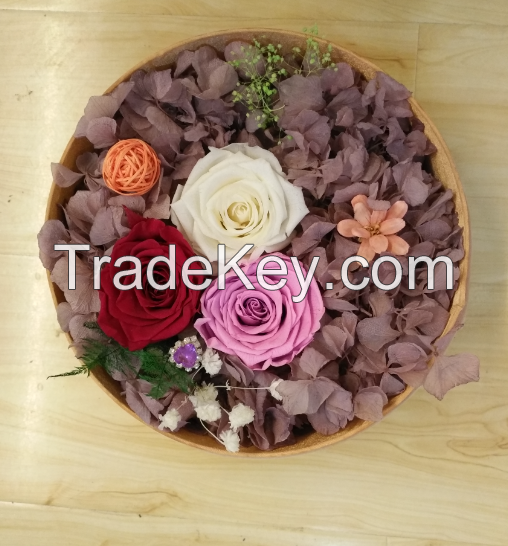 Preserved Flowers Gift  Colorful Rose use to  Valentine's Day and Home Decoration 