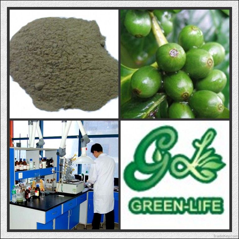 Bodybuilding Supplements Green Coffee Bean Extract Powder P.E.
