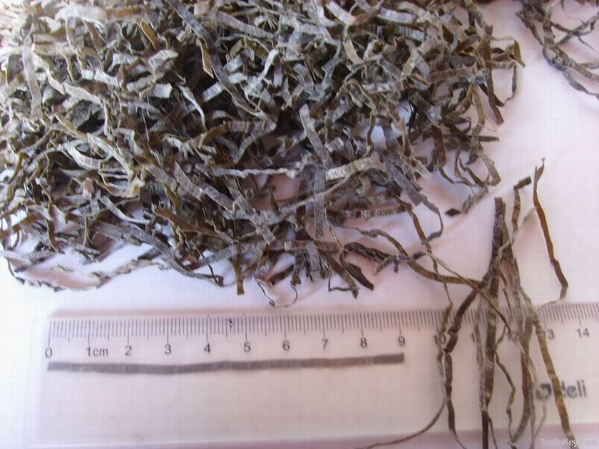 cut dried kelp 1