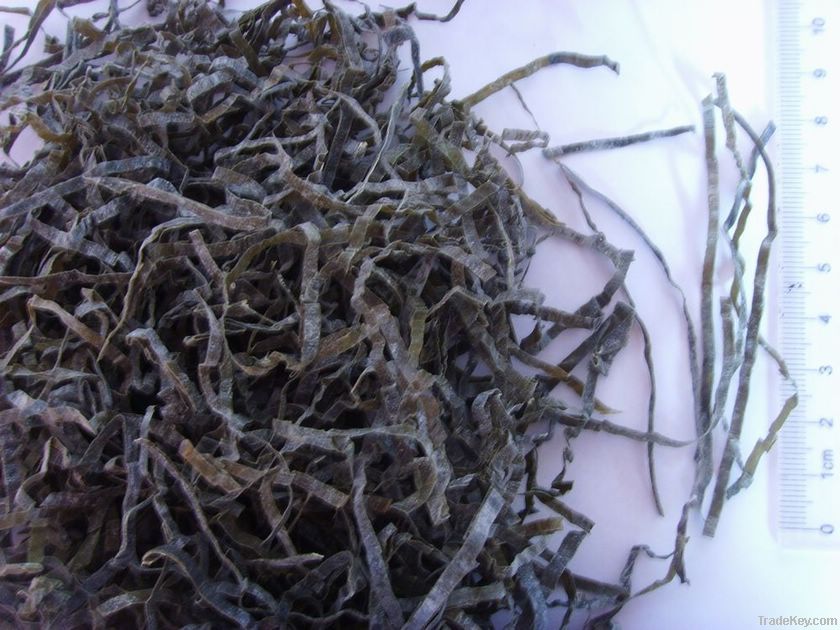 cut dried kelp 2